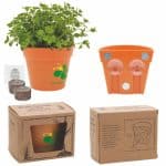 Custom Wall Sprouts Planter Blossom Kit w/Seeds & Planter