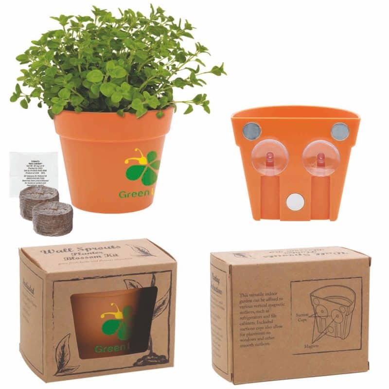 Custom Wall Sprouts Planter Blossom Kit w/Seeds & Planter