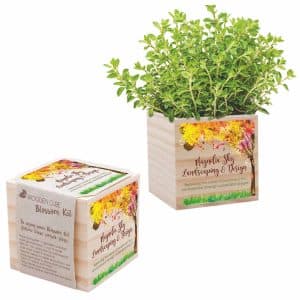 Custom Wooden Cube Blossom Kit w/Seed Packet & Cube Planters