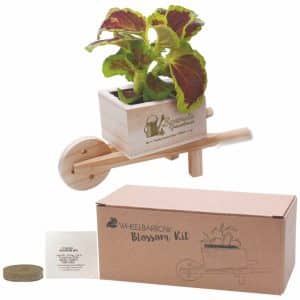 Custom Wooden Wheel Barrow Blossom Kit w/Seeds