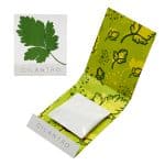 Custom Cilantro Seed Matchbook