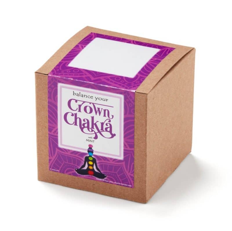 Custom Crown Chakra Growable Planter In Kraft Gift Box - 1