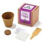 Custom Crown Chakra Growable Planter In Kraft Gift Box
