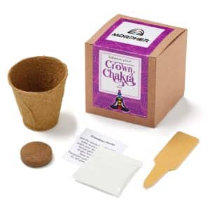 Custom Crown Chakra Growable Planter In Kraft Gift Box