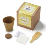 Custom Garden of Hope Planter in Kraft Gift Box (Yellow)