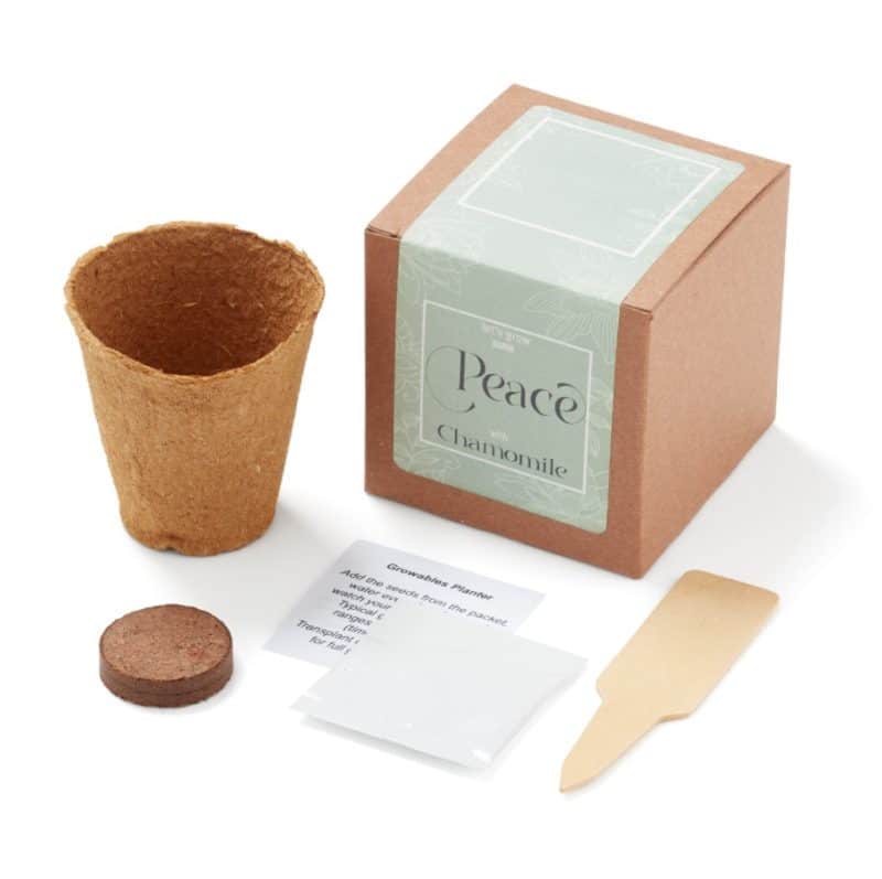 Custom Grow Some Peace Planter in Gift Box - 1