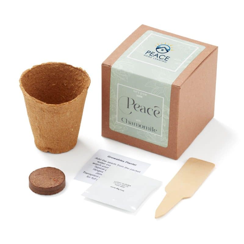 Custom Grow Some Peace Planter in Gift Box