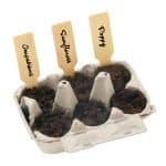 Custom Grow Your Own Garden of Hope Kit (Purple) - 4