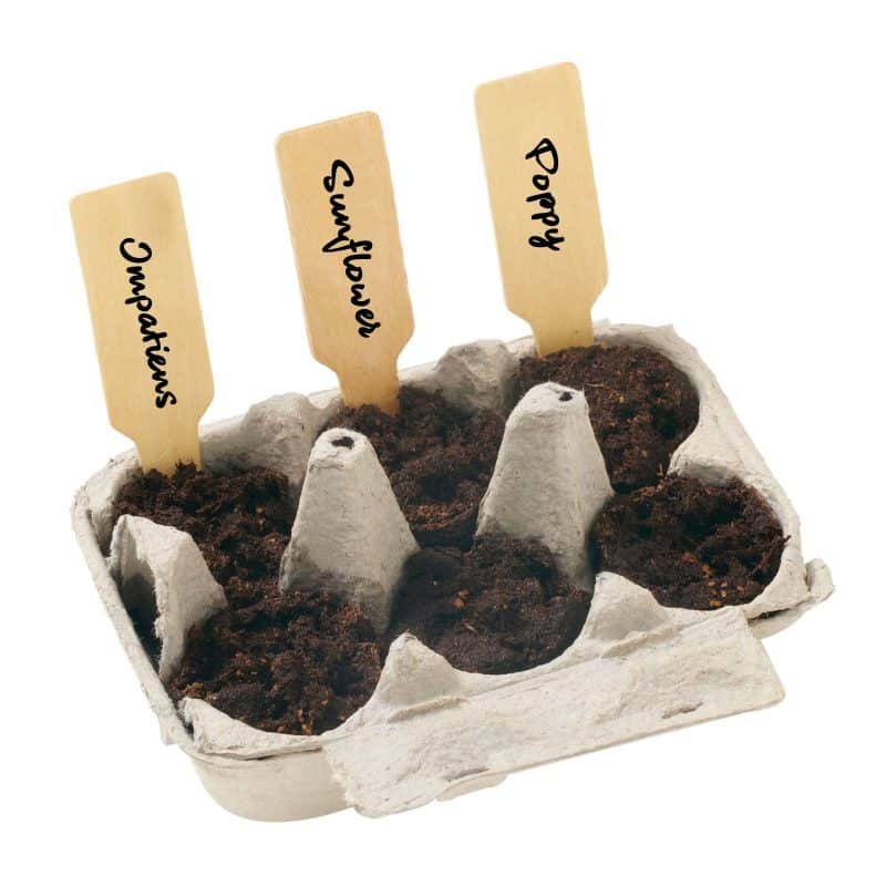 Custom Grow Your Own Garden of Hope Kit (Purple) - 4