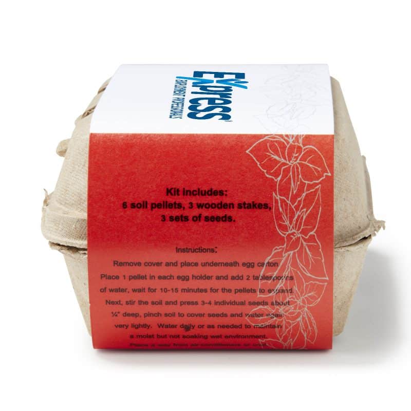 Custom Grow Your Own Italian Herb Garden Kit w/Seeds - 4