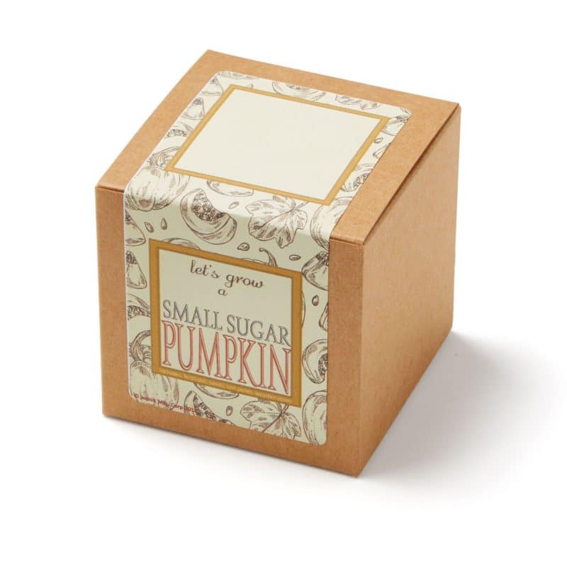 Custom Growables Planter Pot in Kraft Gift Box w/Seeds (Small Sugar Pumpkin) - 1