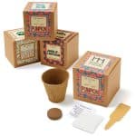 Custom Growables Planter Pot in Kraft Gift Box w/Seeds (Small Sugar Pumpkin)