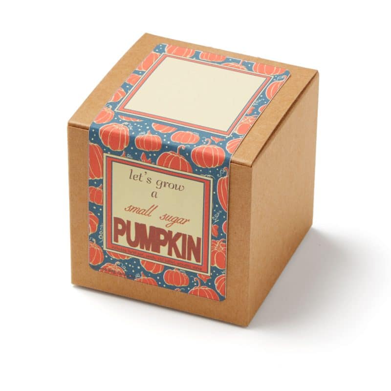 Custom Growables Planter Pot in Kraft Gift Box w/Seeds (Small Sugar Pumpkin) - 2