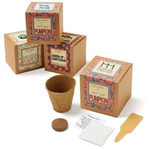 Custom Growables Planter Pot in Kraft Gift Box w/Seeds (Small Sugar Pumpkin)