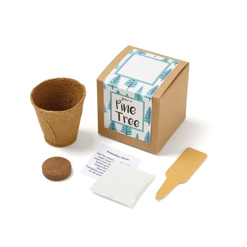 Custom Growables Planter in Kraft Gift Box (Pine Tree) - 1