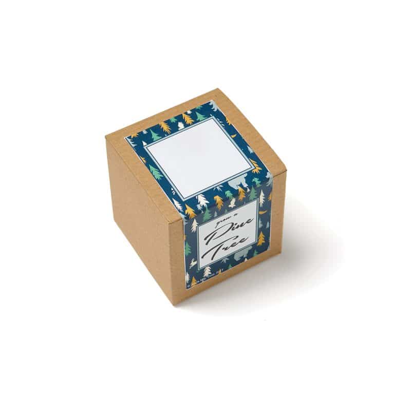 Custom Growables Planter in Kraft Gift Box (Pine Tree) - 2