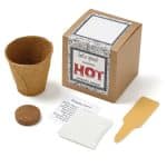 Custom Growables Planter in Kraft Gift Box w/Seeds (Jalapeno Peppers) - 1