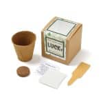 Custom Growables Planter in Kraft Gift Box w/Seeds (Lucky 4 Leaf Clover) - 1