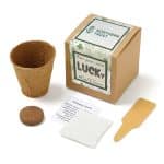 Custom Growables Planter in Kraft Gift Box w/Seeds (Lucky 4 Leaf Clover)