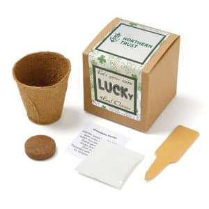 Custom Growables Planter in Kraft Gift Box w/Seeds (Lucky 4 Leaf Clover)