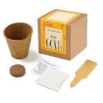 Custom Growables Planter in Kraft Gift Box w/Seeds (Marigold) - 1