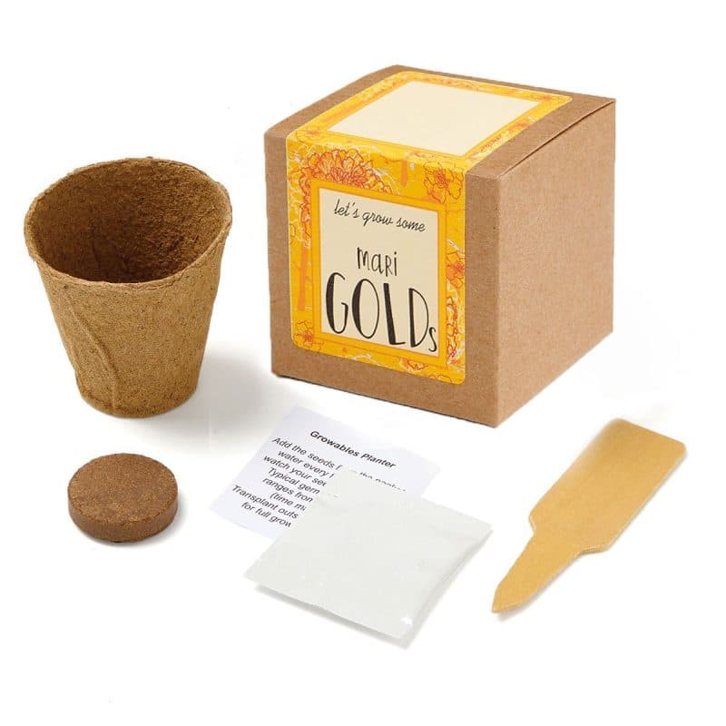 Custom Growables Planter in Kraft Gift Box w/Seeds (Marigold) - 1