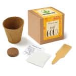 Custom Growables Planter in Kraft Gift Box w/Seeds (Marigold)