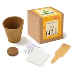 Custom Growables Planter in Kraft Gift Box w/Seeds (Marigold)