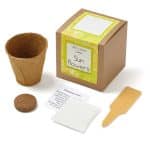 Custom Growables Planter in Kraft Gift Box w/Seeds (Sunflowers) - 1