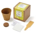 Custom Growables Planter in Kraft Gift Box w/Seeds (Sunflowers)