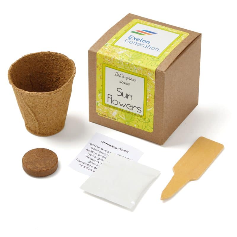 Custom Growables Planter in Kraft Gift Box w/Seeds (Sunflowers)