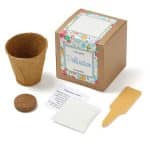 Custom Growables Planter in Kraft Gift Box w/Seeds (Wildflowers) - 1
