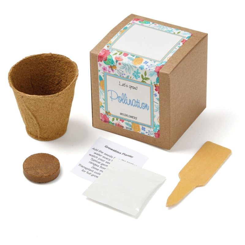 Custom Growables Planter in Kraft Gift Box w/Seeds (Wildflowers) - 1