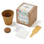 Custom Growables Planter in Kraft Gift Box w/Seeds (Wildflowers)