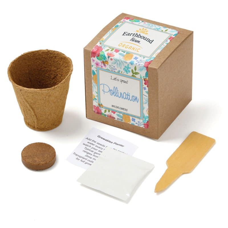 Custom Growables Planter in Kraft Gift Box w/Seeds (Wildflowers)