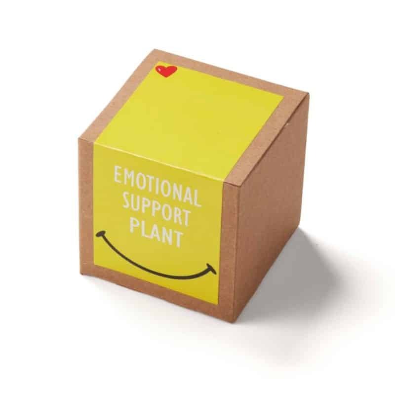 Custom Inspirational Emotional Support Planter in Kraft Gift Box - 1