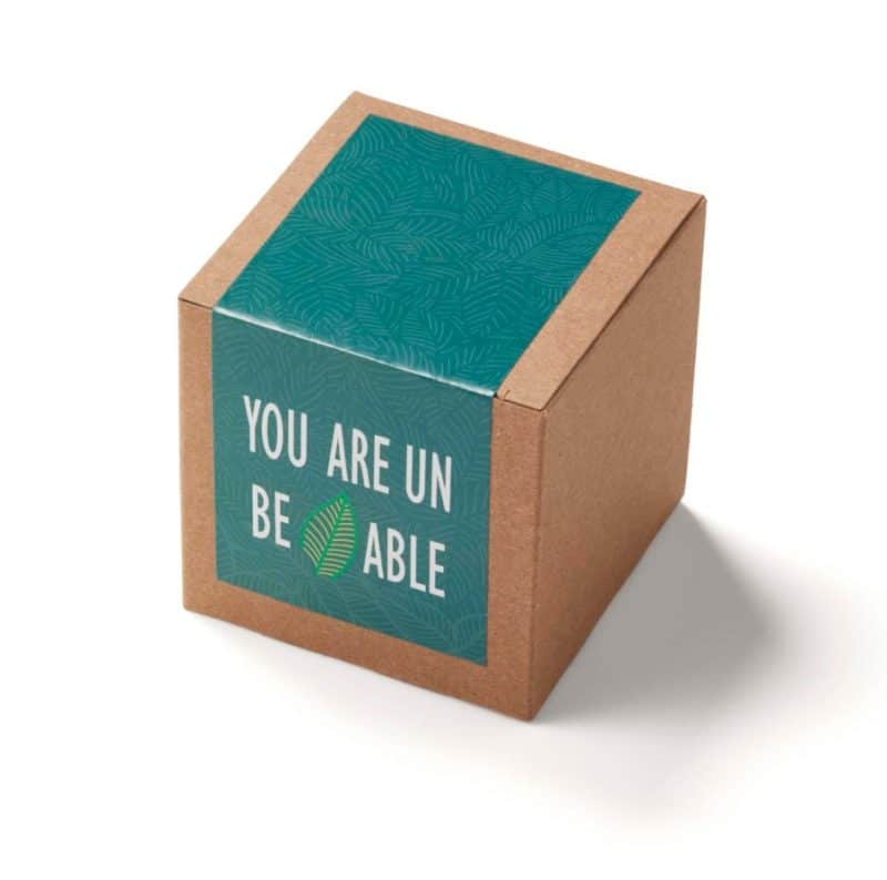 Custom Inspirational Leaf Planter in Kraft Gift Box - 1
