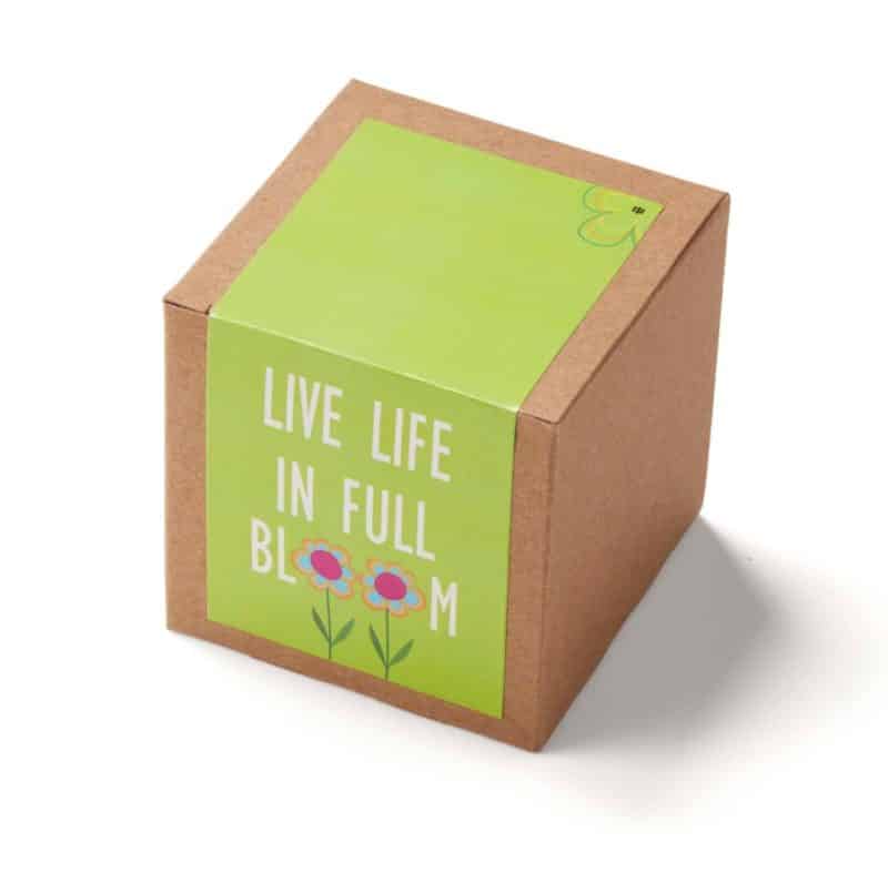 Custom Inspirational Live Life in Full Bloom Planter in Kraft Gift Box - 1