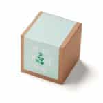Custom Inspirational Mint to Be Planter in Kraft Gift Box - 1