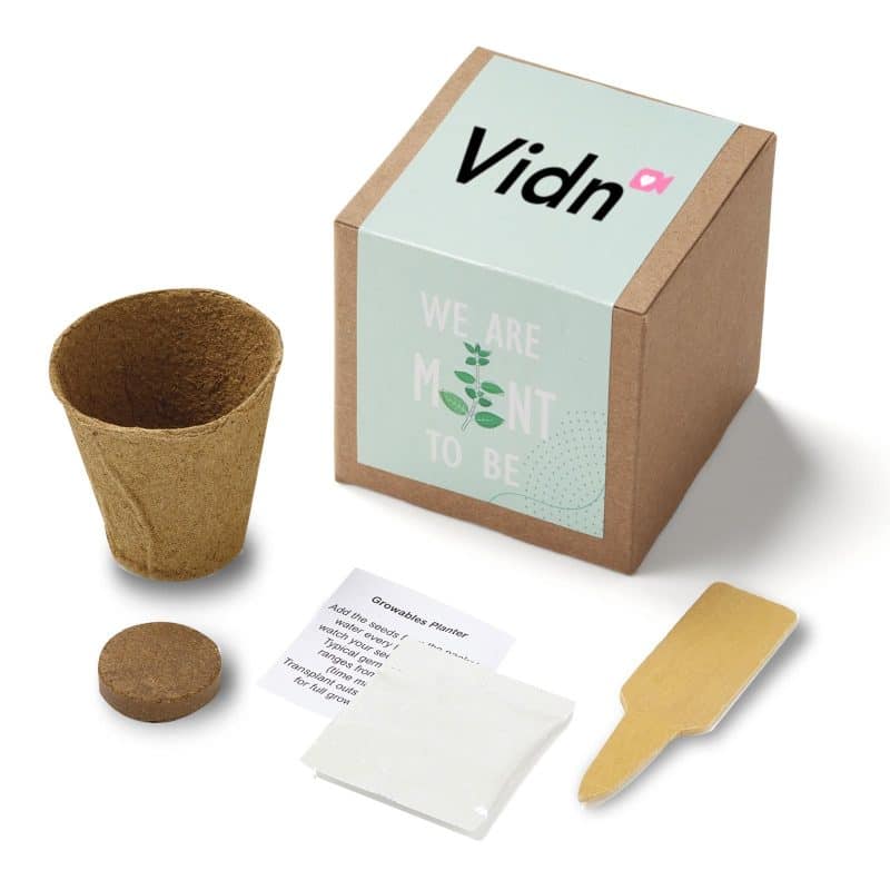 Custom Inspirational Mint to Be Planter in Kraft Gift Box