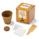 Custom Sacral Chakra Growable in Kraft Gift Box