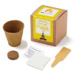 Custom Solar Chakra Growable in Kraft Gift Box