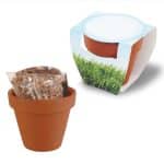 Custom Terracotta Pot w/Seeds - 1