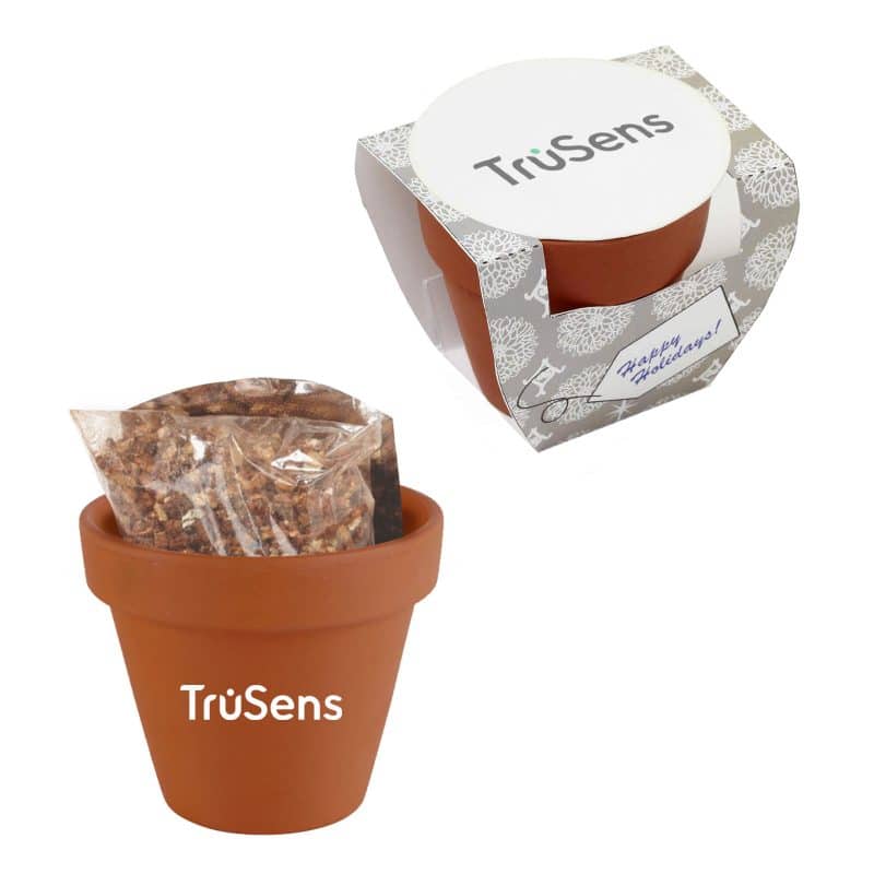 Custom Terracotta Pot w/Seeds