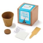 Custom Throat Chakra Growable in Kraft Gift Box
