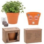 Custom Wall Sprouts Planter Blossom Kit w/Seeds & Planter - 1