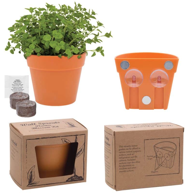 Custom Wall Sprouts Planter Blossom Kit w/Seeds & Planter - 1