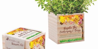 Custom Wooden Cube Blossom Kit w/Seed Packet & Cube Planters